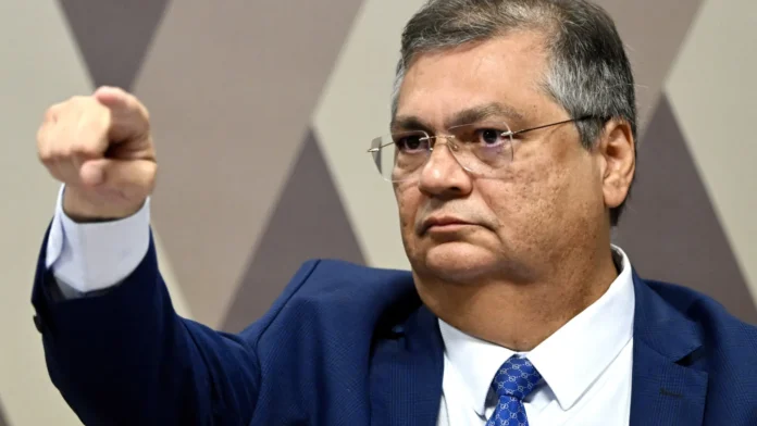 Dino dá prazo de 30 dias para conclusão de planos contra queimadas
