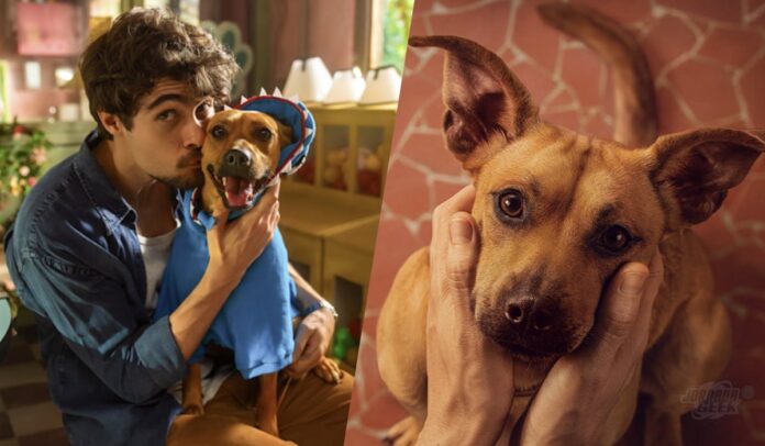 Sucesso do momento: Filme brasileiro conquista o mundo em destaque Filme brasileiro Caramelo ganha data de estreia na Netflix e trailer oficial