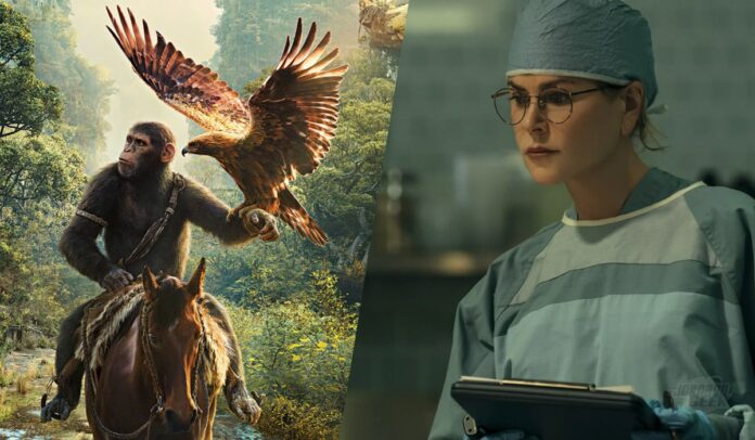 20 estreias na HBO Max e Prime Video para você assistir neste fim de semana, 14 e 15 de março